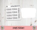 Foil Script - 10 out of 10 do not recommend - PrettyCutePlanner