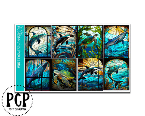 stain glass sea lif full boxes