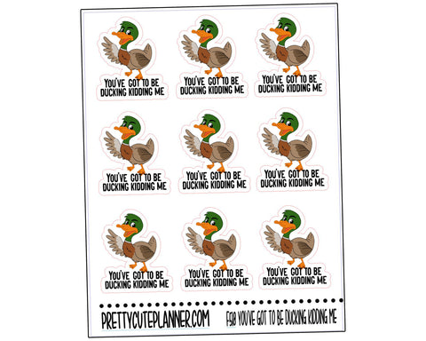 You've got to be ducking kidding me sticker